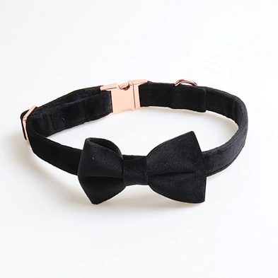 New Cat Pet Collar Adjustable Designer Personalized Velvet Dog Collar And Leash Set With Bow