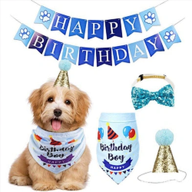 Hot Sale Dog Birthday Party Supplies Dog Birthday Hat And Bandana