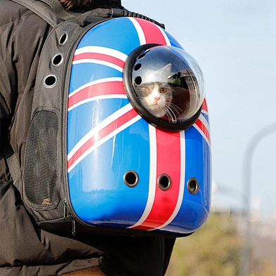 Cat Carrier Backpack 2021 Designer Cheap Plastic Outdoor Luxury Small Pet Dog Cat Carrier Bag