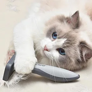 Pet Grooming Brush For Cat and Dog Remove Hair Wholesale Brush