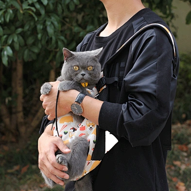 Wholesale Dog Cat Carrier Backpack Adjustable Bag Portable Designer Cute Pet Dog Travel Backpack