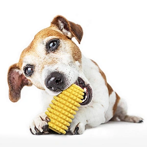 Hot selling friendly material dog interactive pet molar bite toy