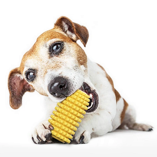 Hot selling friendly material dog interactive pet molar bite toy