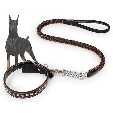 Luxury dog collar leash custom designer pet dog collar with spring
