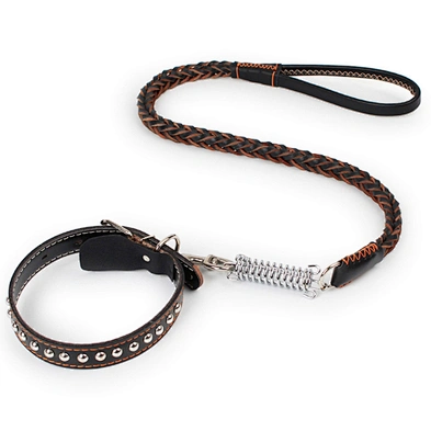 Luxury dog collar leash custom designer pet dog collar with spring