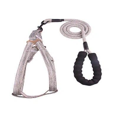 Security Step In Material Large Dog Warking Harness And Leash Set