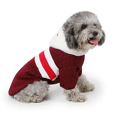Cashmere Wool Dog Sweater 2020 Wholesale Small Dog Clothes Winter