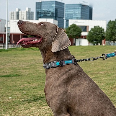 Luxury Dog Nylon Collar Wholesale Large Dog Chain Collar With Reflective Strip