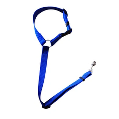 Hot Sell Dog Safety Adjustable Pet Dog Safety Car Belt Dog Car Leash