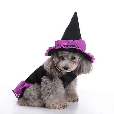 Wholesale China Dog Clothes Cheapest High Quality Funny Dog Halloween Costumes