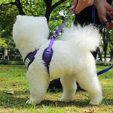 Amazon hot selling pet safety dog harness with leashes reflective dog harness