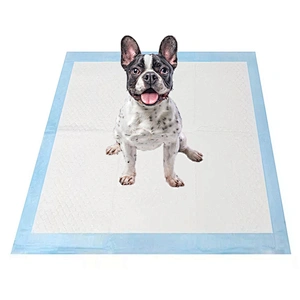 Disposable Puppy Absorbent Training Pads Dog Toilet Wee Pee All Absorb Pet Training Pads