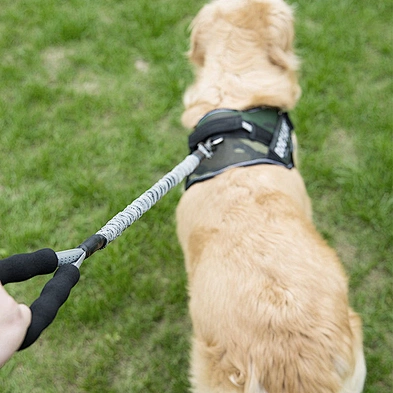 Wholesale nylon dog bungee leash carabiner luxury large dog rope leash