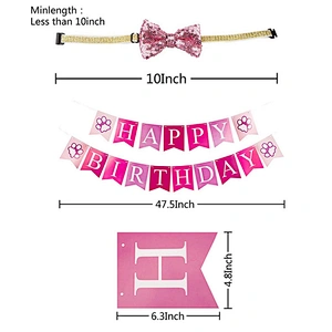 Hot Sale Dog Birthday Party Supplies Dog Birthday Hat And Bandana