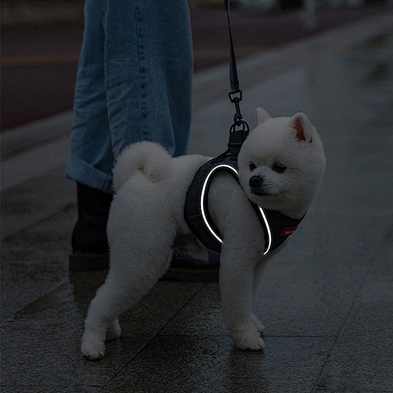 OEM Stylish Breathable Mesh Reflective Dog Harness Padded Adjustable Vest