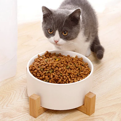 Raised Elevated Dog Bowl Stand Ceramic Pet Bowl Cat Pets Ceramic Dog Bowl
