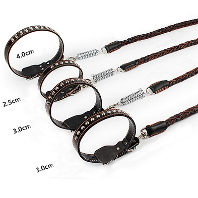 Luxury dog collar leash custom designer pet dog collar with spring
