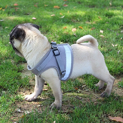 High Quality Designers Reflective Dog Harness Custom 2021 Adjustable Dog Harness Vest With Leash