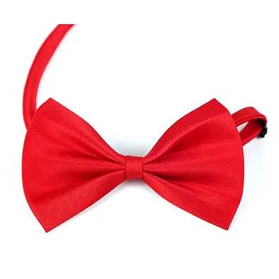Pet Cat Collar Breakaway Wholesale Custom Cheap Cute Dog Bow Tie Collar