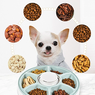 Amazon hot sale pet dry wet food dispenser smart automatic pet food feeder for dog cat