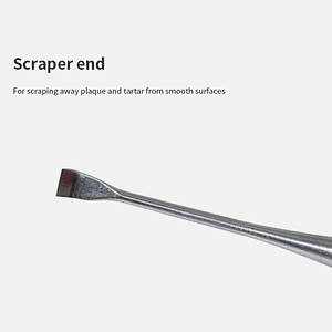 Wholesale price stain steel pet teeth cleaning teeth cleaning pen