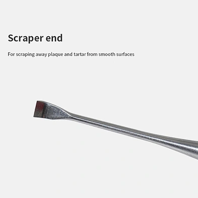 Wholesale price stain steel pet teeth cleaning teeth cleaning pen