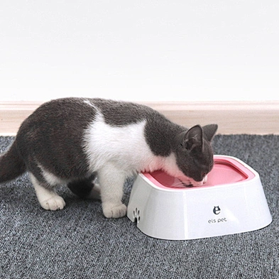 Hot Sale Pet Dog Water Bowl Not Wet Mouth Pet Dog Bowl Water Splash-proof Suspending Force Bowl