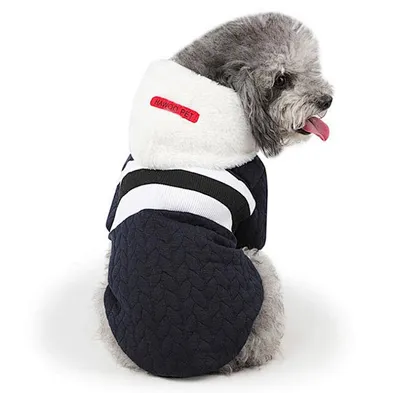 Cashmere Wool Dog Sweater 2020 Wholesale Small Dog Clothes Winter
