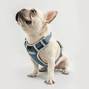 Amazon Hot Sale Dog Harness Reflective at night Pet Harness Custom Label Dog harness and leash