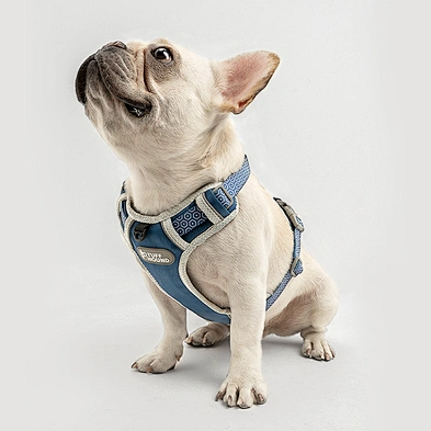 Amazon Hot Sale Dog Harness Reflective at night Pet Harness Custom Label Dog harness and leash