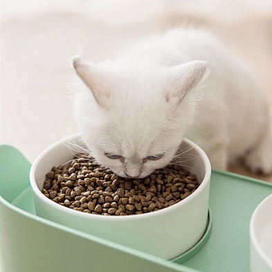 Wholesale dog double bowl anti-tipping cat food bowl ceramic pet bowl