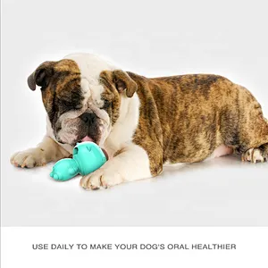 High quality toothbrush for puppy food grade dog cleaning chew toy