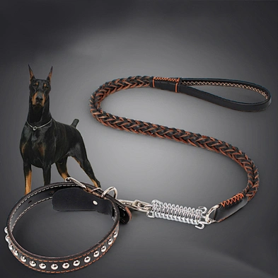 Luxury dog collar leash custom designer pet dog collar with spring