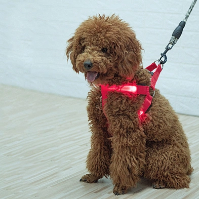 USB Charge Light Up LED Dog Chest Harness For Wholesale