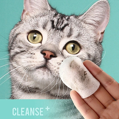 Wholesale Organic Pet Eye Wet Wipes Ear Cleaning Wipes For Dog and Cat