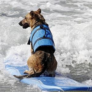Pet life jackets dog swimming suits large and small dogs summer clothes dog swimming vests