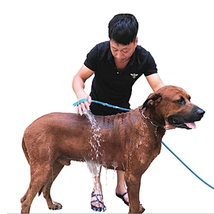 Hot Sale Pet Shower Sprayer Portable Multi-Functional Grooming Sprayer Cheap Dog Shower  For Outdoor Garden