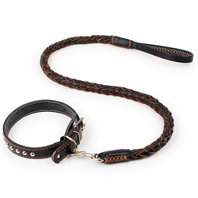 Luxury dog collar leash custom designer pet dog collar with spring