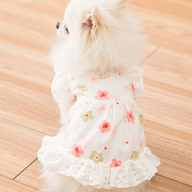 Beautiful Dog Clothes Designers Puppy Apparel Fashion Cute Luxury Summer Dog Dress
