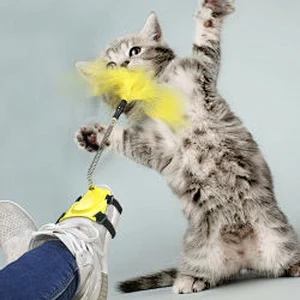 Factory directly sell cat spring feather toy set pack cat toy set