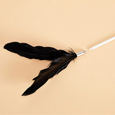 Interactive Cat Laser Toy New Design Feathers Teaser Cat Stick