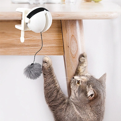 Interactive Cat Toy Ball 2021 New Electric Cat Ball