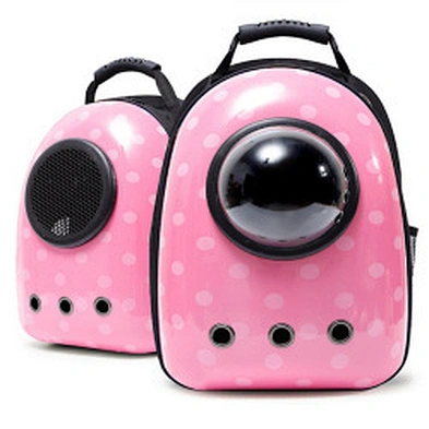 Cat Carrier Backpack 2021 Designer Cheap Plastic Outdoor Luxury Small Pet Dog Cat Carrier Bag