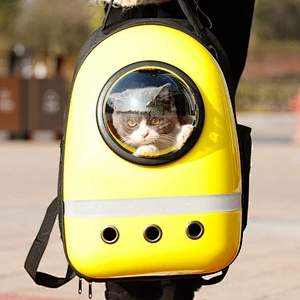 Cat Carrier Backpack 2021 Designer Cheap Plastic Outdoor Luxury Small Pet Dog Cat Carrier Bag