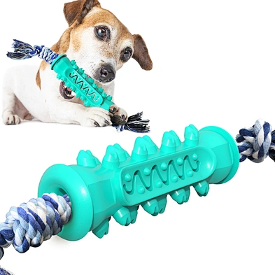 Eco-friendly pet chew rope toy dog toothbrush puppy chew toy set