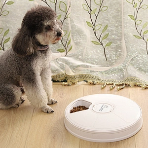 Amazon hot sale pet dry wet food dispenser smart automatic pet food feeder for dog cat