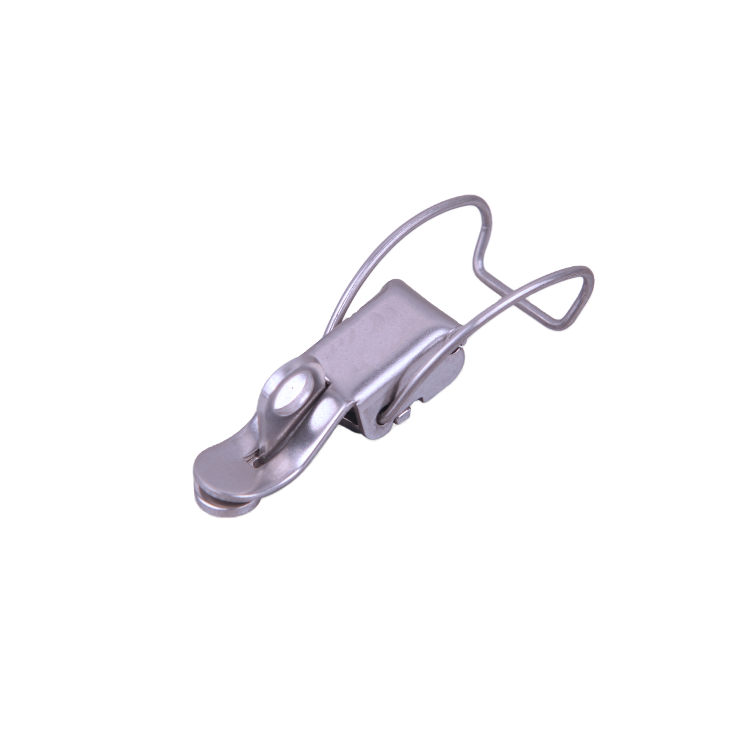TCA02 Stainless Steel Toggle Latch