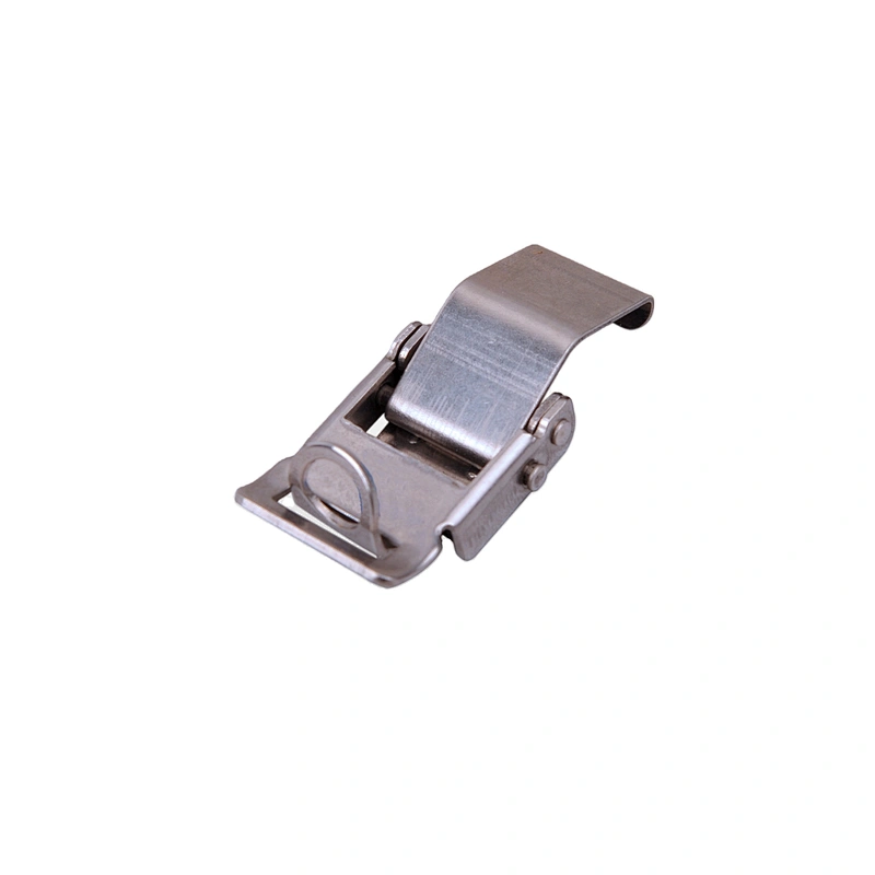 TCA10 Stainless Steel Toggle Latch
