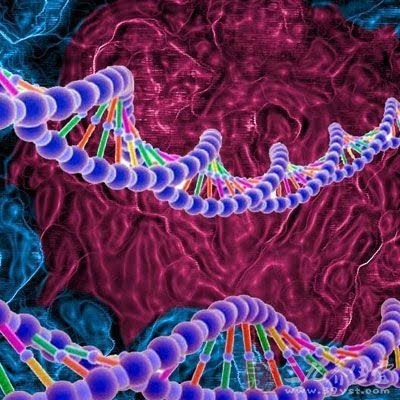 alphasauna_Heat_shock_proteins