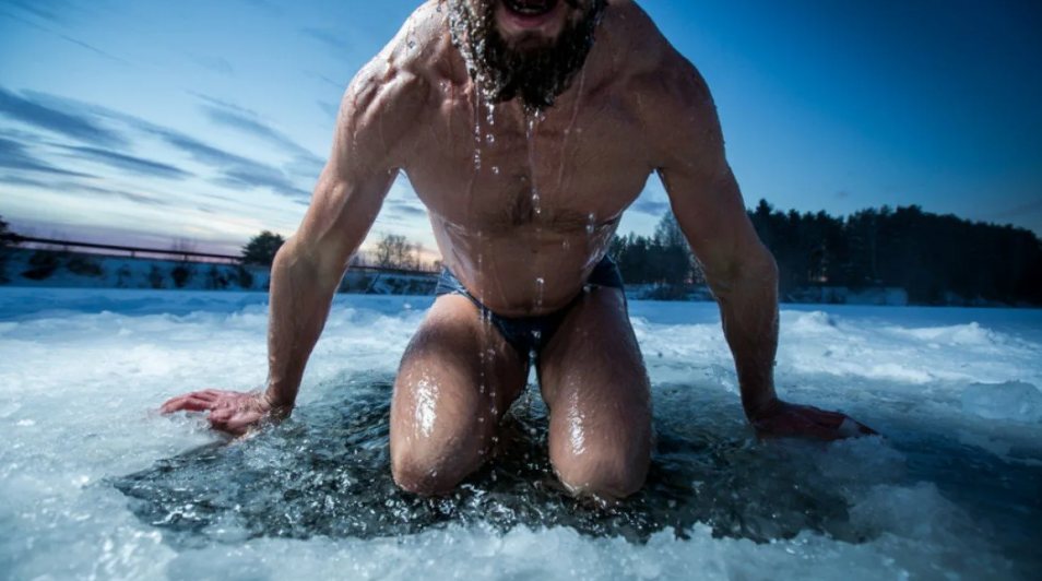 horse trough for ice bath